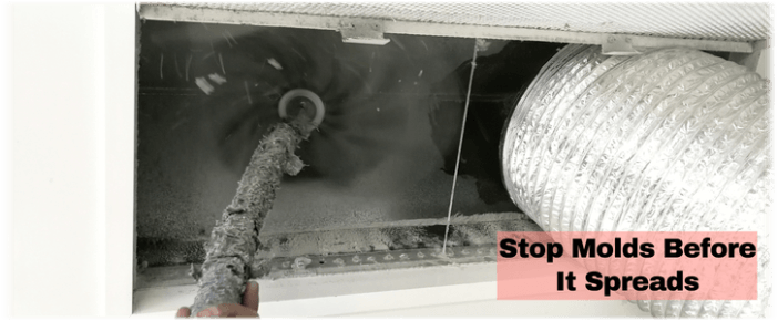 Air Duct Mold Removal in Riverside CA