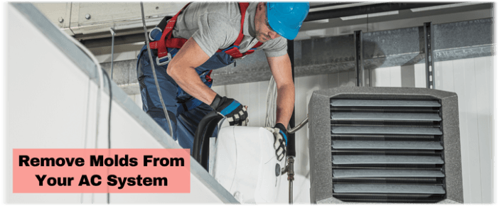HVAC Mold Removal Riverside CA